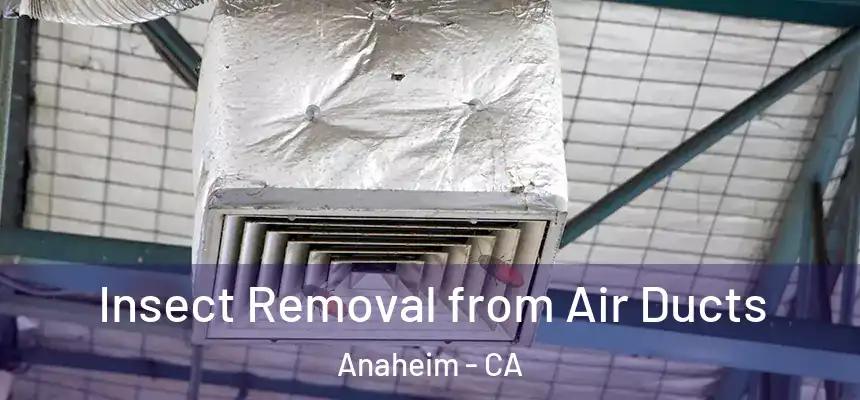 Insect Removal from Air Ducts Anaheim - CA